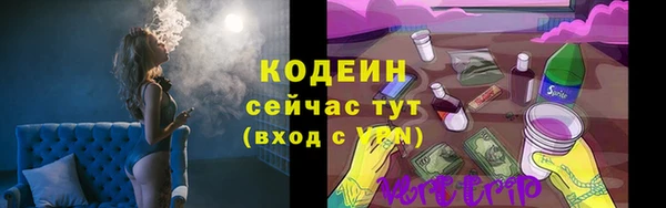 прущий лед Пересвет
