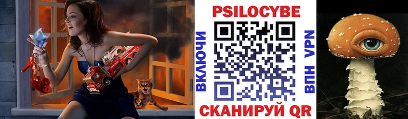 маркетплейс телеграм  Новомичуринск  Псилоцибиновые грибы мицелий  где купить  